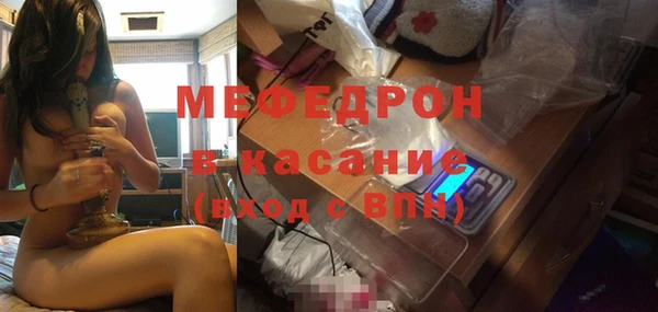 индика Вяземский
