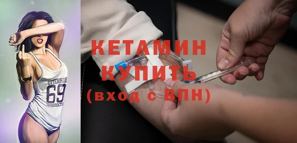 индика Вяземский