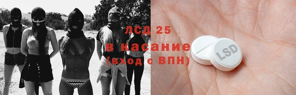индика Вяземский