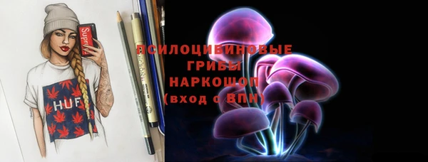 индика Вяземский