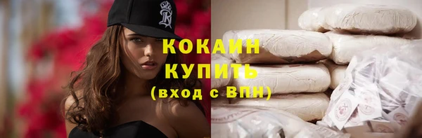 индика Вяземский