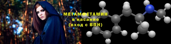 индика Вяземский