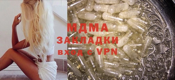 индика Вяземский