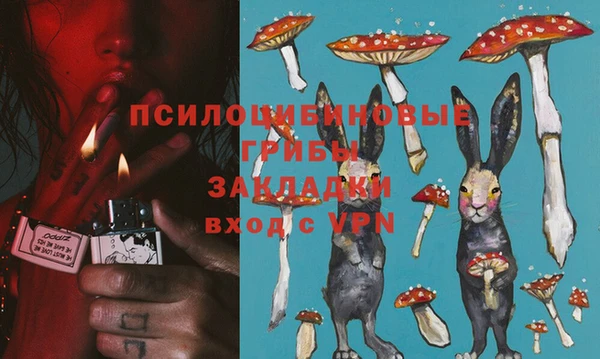 индика Вяземский