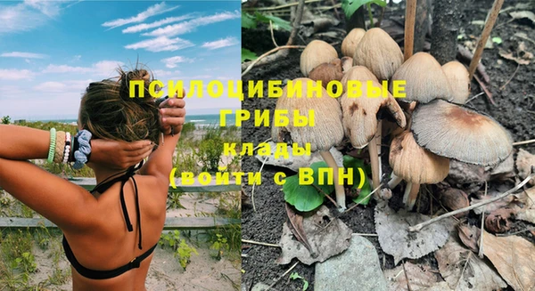 индика Вяземский