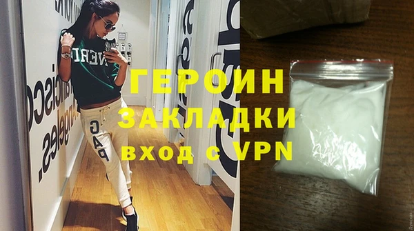 индика Вяземский