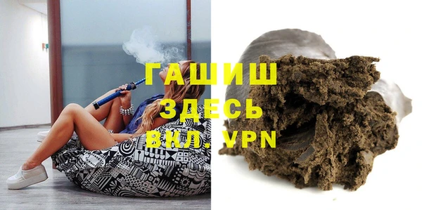 индика Вяземский