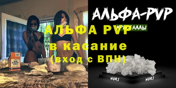 индика Вяземский