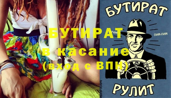 индика Вяземский