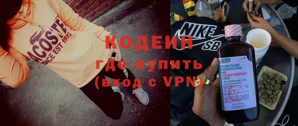 индика Вяземский