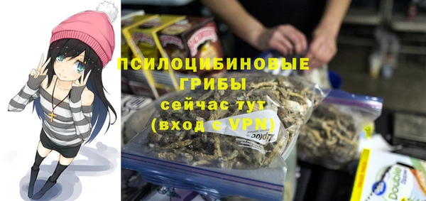 индика Вяземский